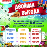 Двойная выгода-А3 (1)