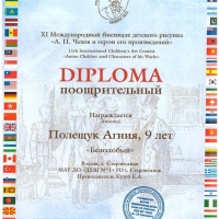 Дипломы_001