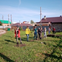 Акция «Зеленая Башкирия» (5)