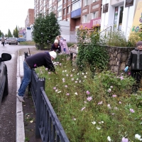 Акция «Зеленая Башкирия» (7)