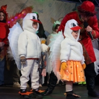 В-Стерлитамаке-впервые-прошёл-фестиваль-ГУСЬ-2.0-9