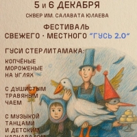 В-Стерлитамаке-пройдёт-фестиваль-Гусь-2.0-1