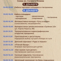 В-Стерлитамаке-пройдёт-фестиваль-Гусь-2.0-2