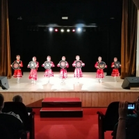 Концерт, посвящённый Дню защитника Отечества (9)