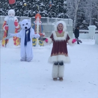 Новый год в Арктике (1)