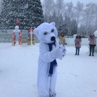 Новый год в Арктике (2)