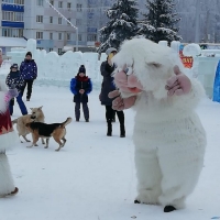 Новый год в Арктике (3)