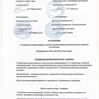 положение1