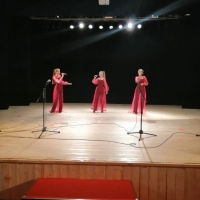Отборочный тур вокального конкурса «Маленькая звезда» (17)