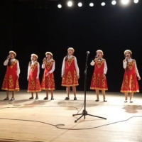 Отборочный тур вокального конкурса «Маленькая звезда» (9)