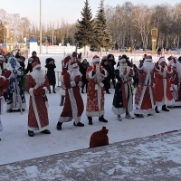 Парад дедов Морозов (11)
