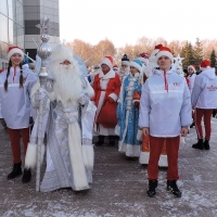 Парад дедов Морозов (2)