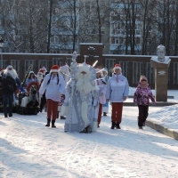 Парад дедов Морозов (5)