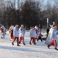 Парад дедов Морозов (8)